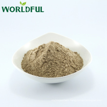 Worldful Amino Acids 25% Chelate Iron Powder, Nutrition Supplements, Water Soluble Fertilizer